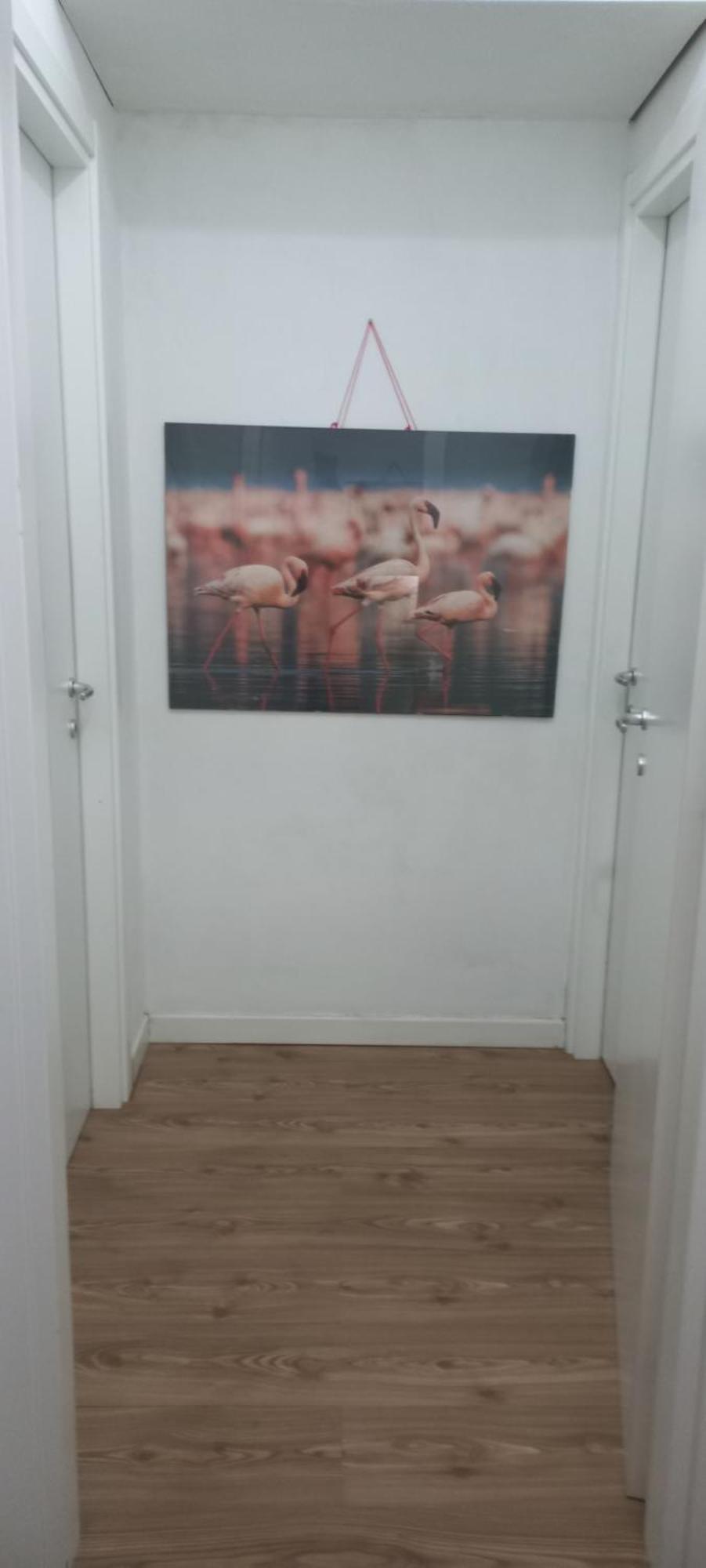 B&B Leo Cagliari Extérieur photo